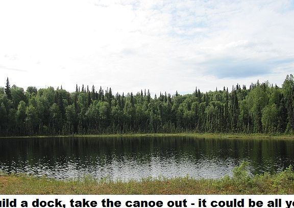 2nd image of 160 Acres With Lake Sportsman's Paradise