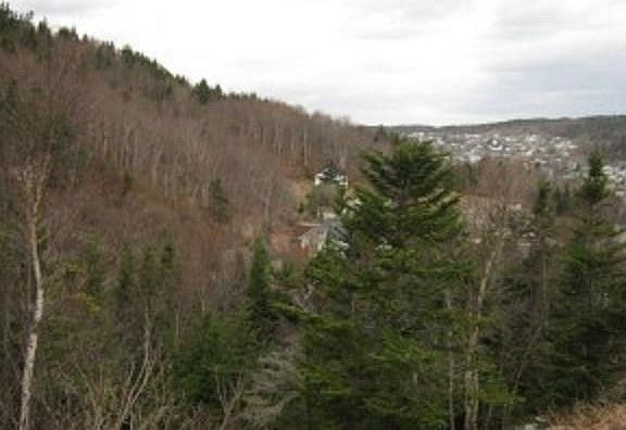 5th image of 24 Woodmans Road