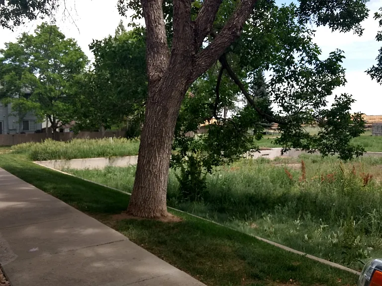 1425 Bacchus Dr #C13 — Photo 3