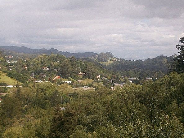 Expansive Views