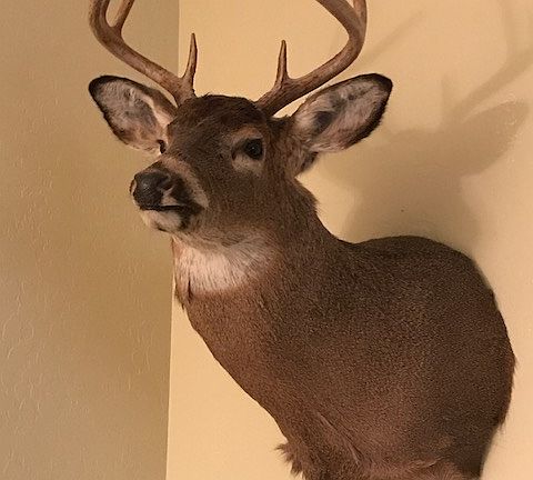 8 Pointer taken off land!