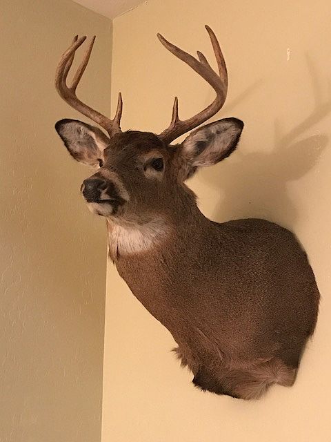 8 Pointer taken off land!