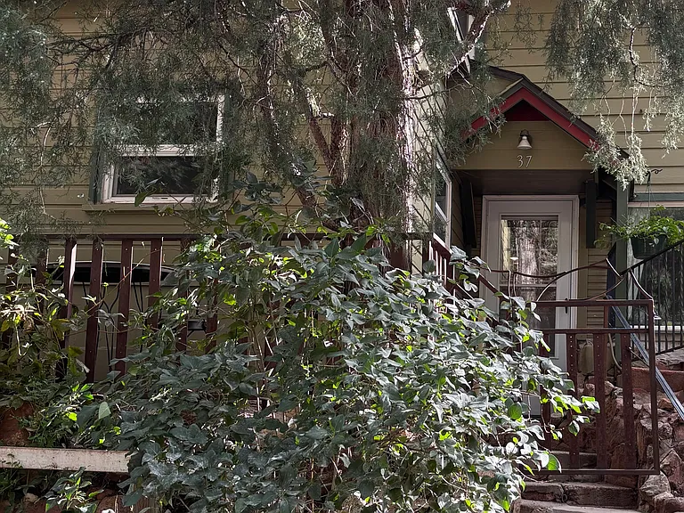 37 Minnehaha Ave — Photo 8