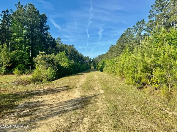 0 Near 6626 Chauncey Town Road, Lake Waccamaw, NC 28450