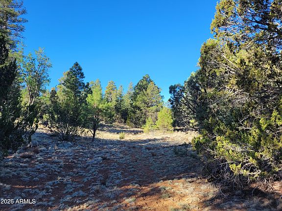 4th image of 4083 SUNSET RIDGE Loop #175