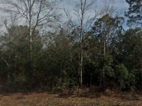 5th image of 9930 Nikolich Ave