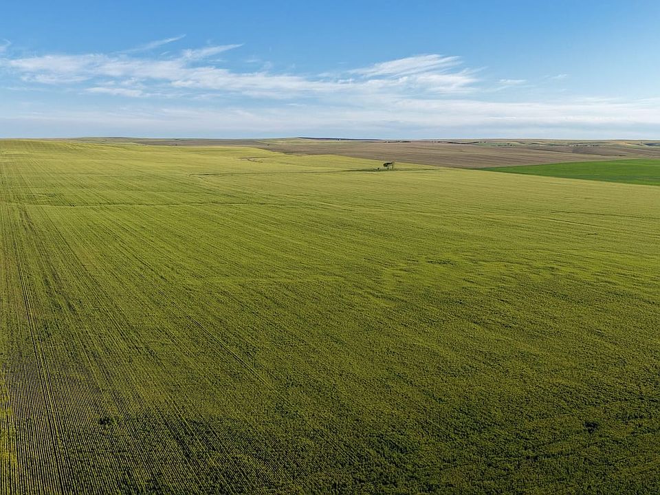 Dji Fly 20260610 185206 0608 1781187766339 Photo