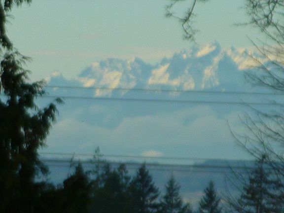 Views from Shasta Ridge