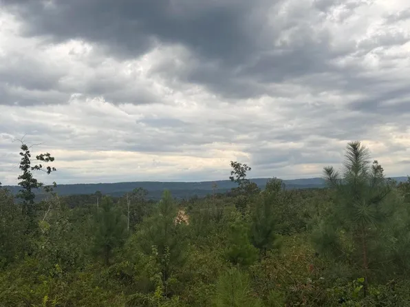 LOT 2 Bethel Rd Lot 2, Valley Head, AL 35989