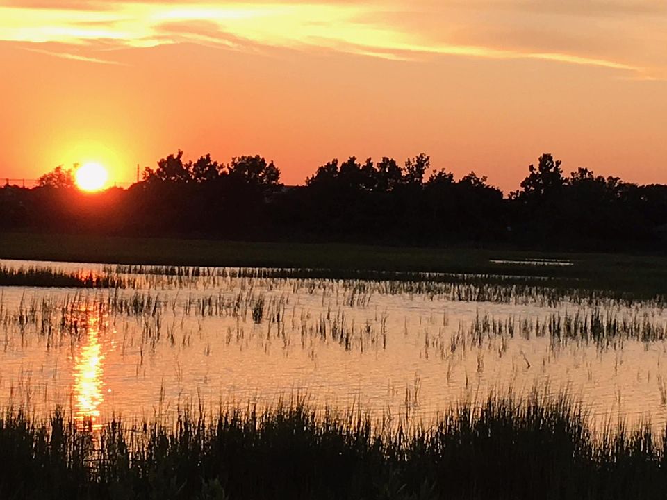 Backyard view at sunset