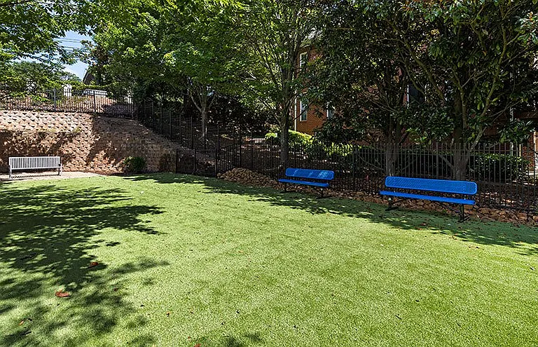 Park at The Hill — Photo 28