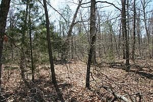 2nd image of Terrapin Road Ac #14.88