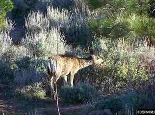 1670 Scorpion Rd, Reno, NV 89521