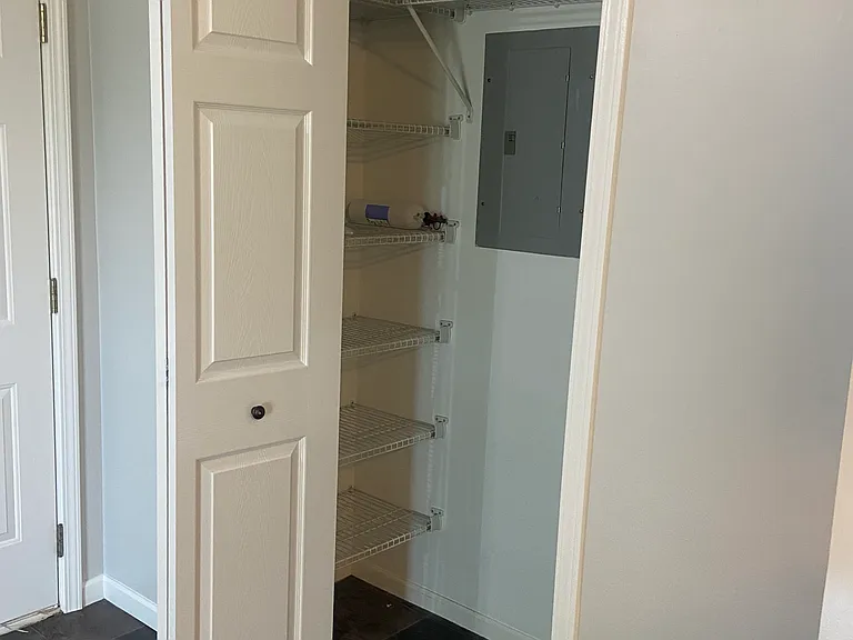 Built in pantry shelves
