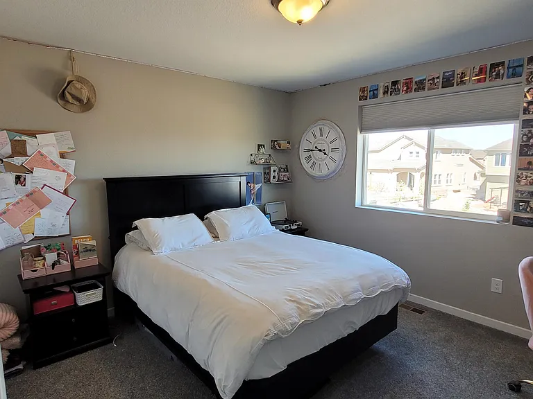 10135 Thrive Ln — Photo 16