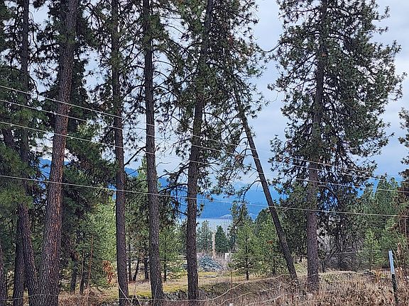 5th image of 7 Nancy Creek Rd