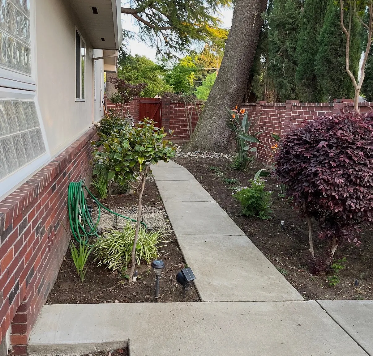 1 bed, 750 sqft, $1,400 — Photo 2
