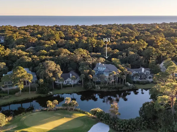 141 Hooded Merganser Ct, Johns Island, SC 29455
