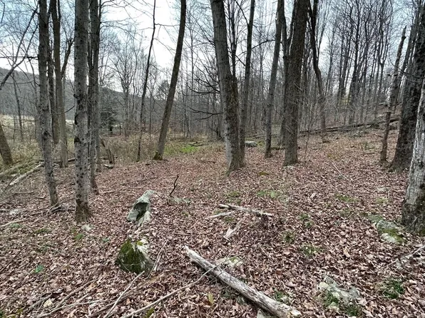 Spring Hill Rd, Moscow, PA 18444