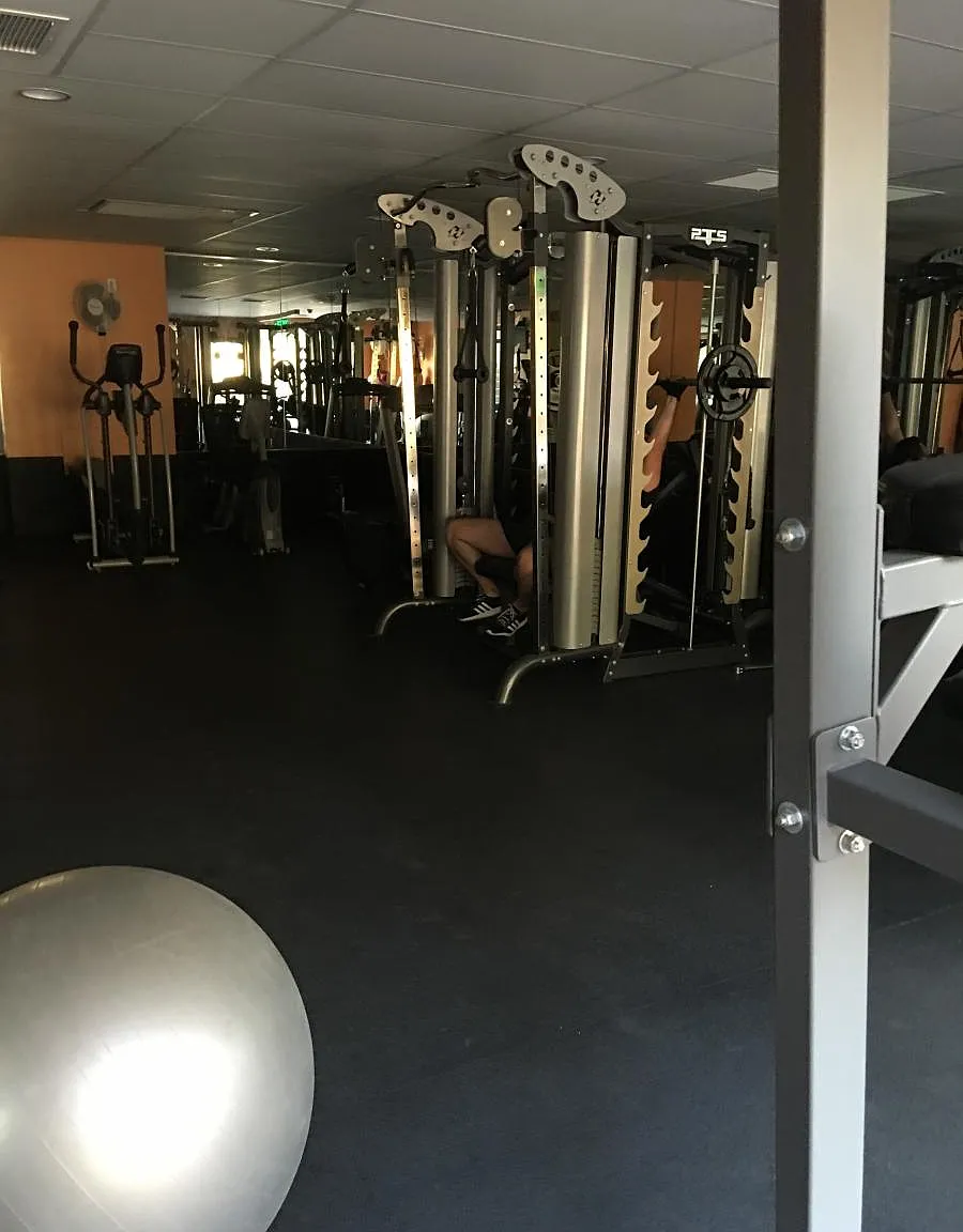1 bed, 800 sqft, $1,300 — Photo 4