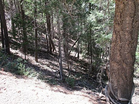 1st image of Devils Tower Ln