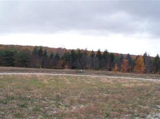 8803 Chickadee Ln #9, Alanson, MI 49706