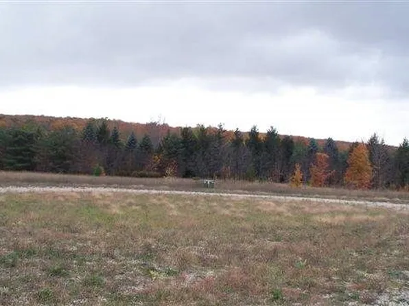 8195 Bluebird Lanelot #15, Alanson, MI 49706