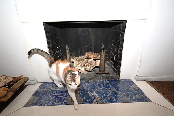 Rented by Corcoran | media 39