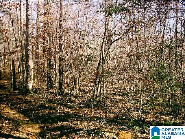 1st image of 1913 County Road 354 Tract #1