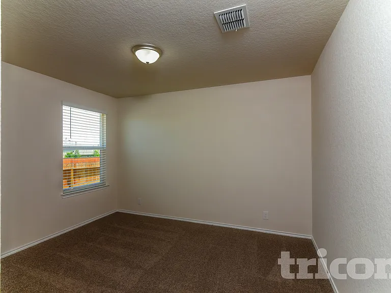 15406 Shortwing — Photo 10