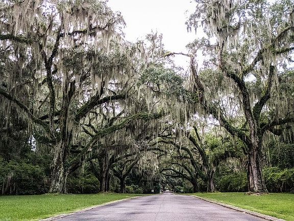 5th image of  Cabaniss Ln.
