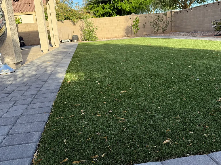 1542 E Fontana Dr — Photo 8