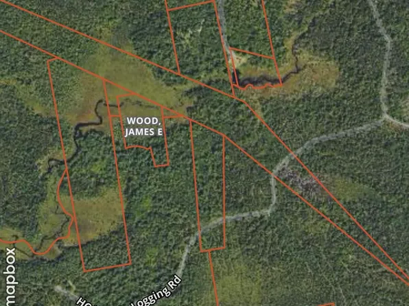 Map 38 Lot 11, Surry, ME 04684