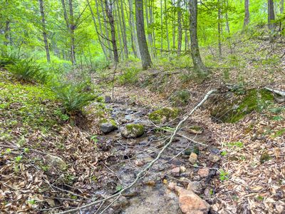 Apache Rd, Woodlawn, VA, 24381