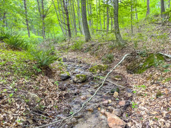 Apache Rd, Woodlawn, VA 24381