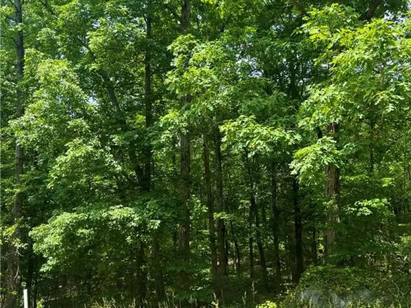 486 Rocky Cove Ln, Denton, NC 27239