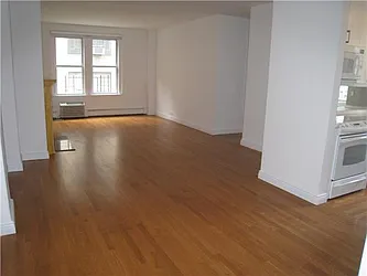 Rented by Platinvm Property Group New York