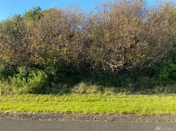 331 Palmer St, Ocean Shores, WA 98569