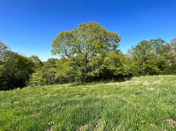 Lot 58 Eagle Crest Circle, Hollister, MO 65672