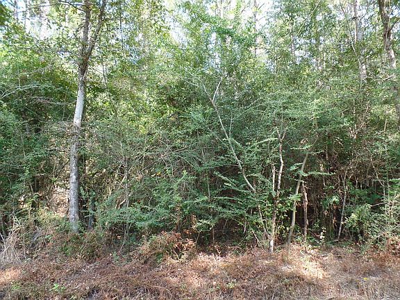 3rd image of 795 County Road 580