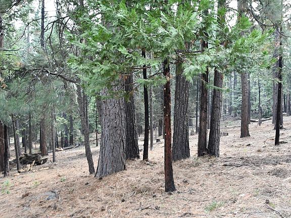 2nd image of 3295 Shoshone Dr #21/4