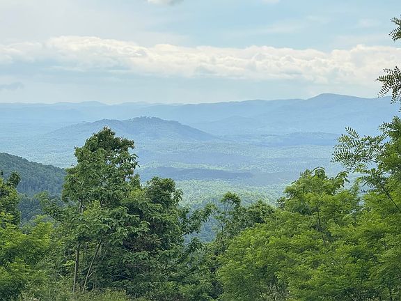 views from road through subdivision