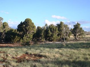 3551 Juniper Break Trl, Overgaard, AZ 85933