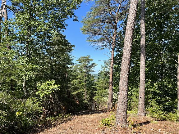 5th image of 0 Old Skyline Dr Lot 205
