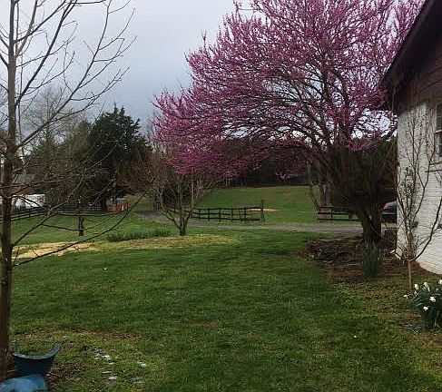 3rd image of 12621 Izaak Walton Dr
