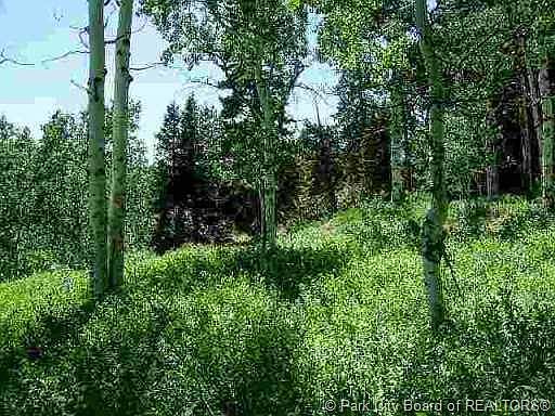 2nd image of 156 S Forest Meadow Rd #Ss-a-2