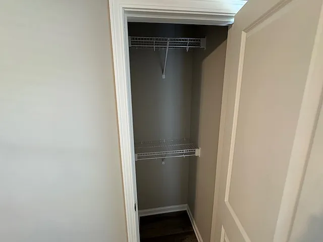 Terrace Level bedroom closet