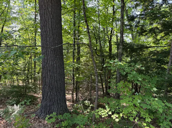 Lot 3 Meadow Road, Casco, ME 04015