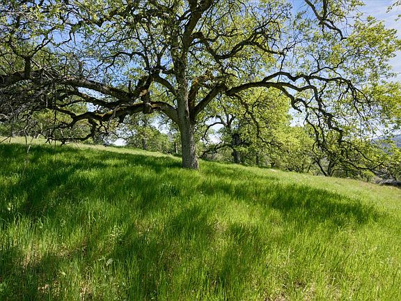 2nd image of 3460 Almosta Rd