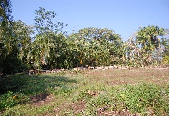 2nd image of 17-290-13 Mile Rd Lot U